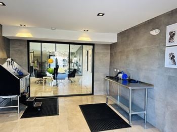 Pet washing station